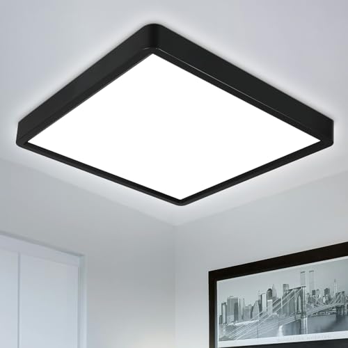 Ceiling Lights
